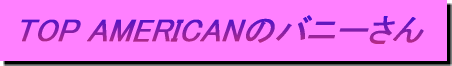 TOP AMERICAN�̃o�j�[���� 