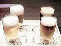 �T�b�|���䎎��